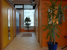 obrázek solarium _Profesionální Solárium Motýlek